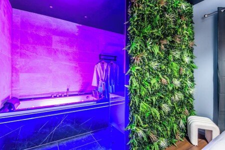 Appartement de charme, 1 chambre, avec jacuzzi