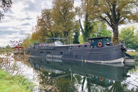 Gîte cozy, 1 chambre, avec wifi