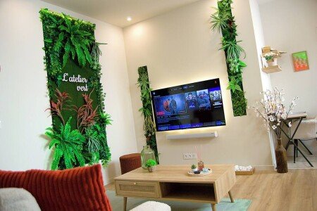 Maison cozy, 1 chambre, avec jacuzzi