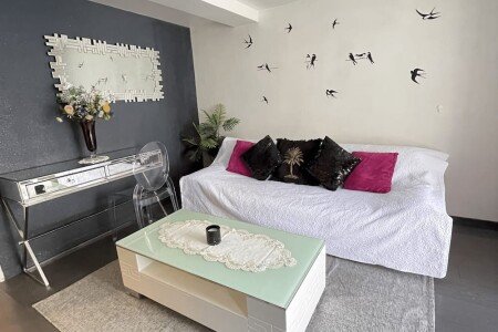 Appartement cozy, 1 chambre, avec wifi