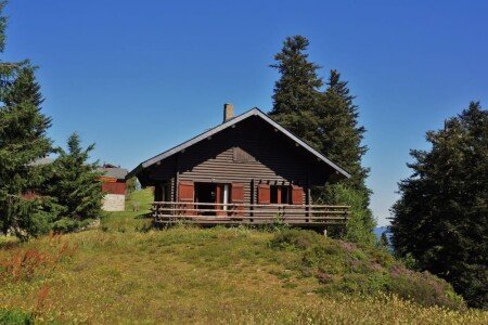 Chalet en rondin 3 chambres, avec piscine
