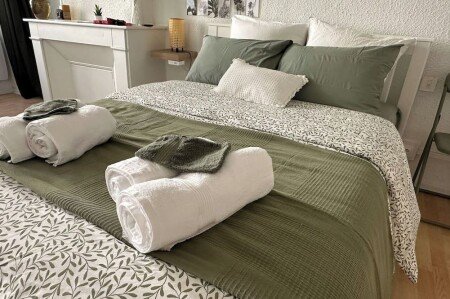 Studio 1 chambre, avec jacuzzi
