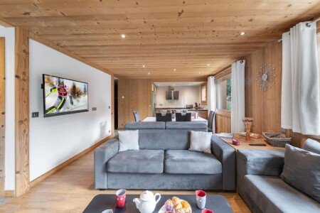 T2 2 chambres, avec jardin