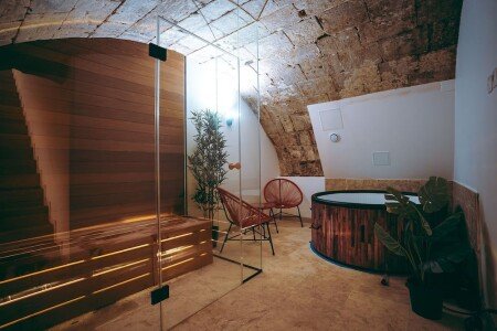 Appartement cozy, 1 chambre, avec jacuzzi