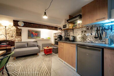 Appartement cozy, 1 chambre, avec jardin