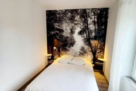 Appartement cozy, 1 chambre, avec wifi