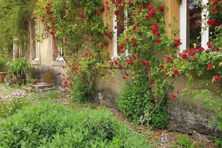 Appartement de charme, 1 chambre, avec wifi