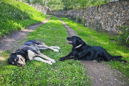 Château authentique, 1 chambre, avec wifi