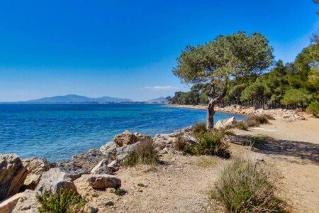 Camping / Mobil Home chic, 2 chambres, avec climatisation