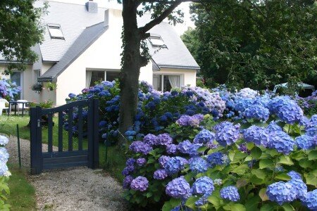 Bed and breakfast de charme, 1 chambre, avec jardin