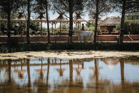 Bed and breakfast Agriturismo, 12 chambres, avec climatisation