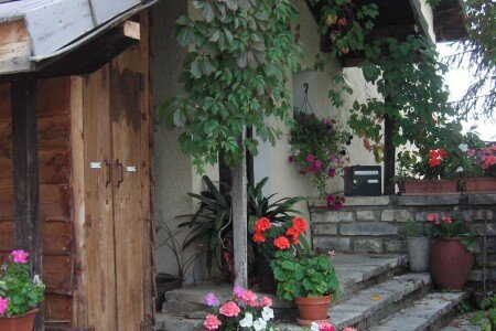 Appartement 2 chambres, avec jardin