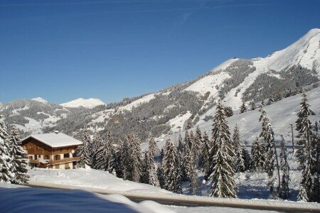 Chalet 1 bedroom, with garden