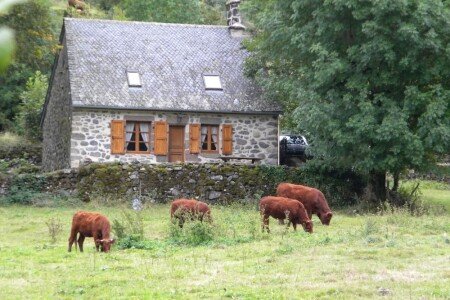 Gîte 1 chambre, avec jardin