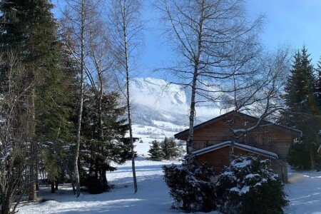 Chalet 3 chambres, avec jardin