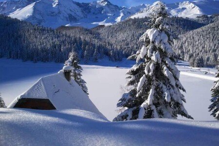 Maison traditionnelle, 3 chambres, avec jardin