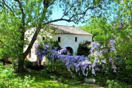 Maison de charme, 1 chambre, avec jardin