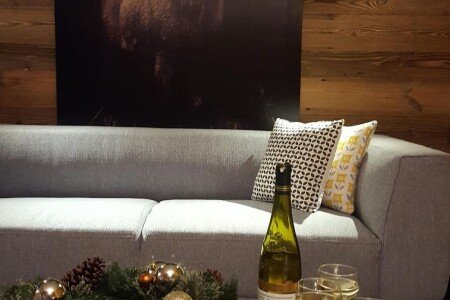 Appartement 2 chambres, avec jardin