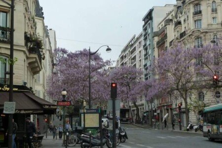 Appartement tout confort, 2 chambres, avec wifi