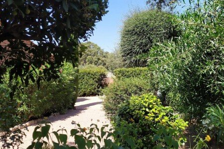 Maison 4 chambres, avec piscine