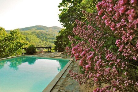 Gîte authentique, 3 chambres, avec piscine