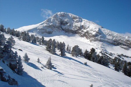 Maison 2 chambres, avec salle de sport