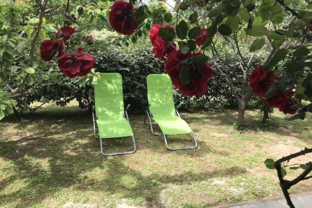 Appartamento 1 camera, con giardino