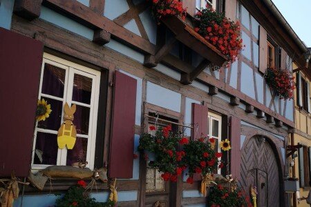 Maison 1 chambre, avec salle de sport