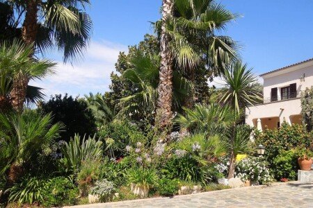 Appartement d'exception, 1 chambre, avec jardin