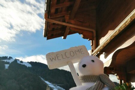 Chalet design, 3 chambres, avec salle de sport