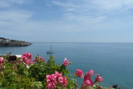 Appartement 3 chambres, avec jardin