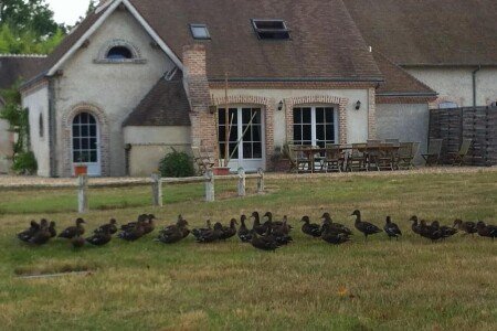 Maison authentique, 4 chambres, avec jacuzzi