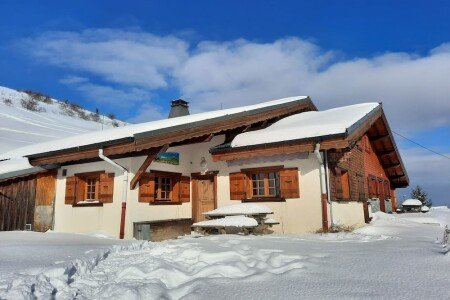 Chalet tout confort, 4 chambres, avec jardin