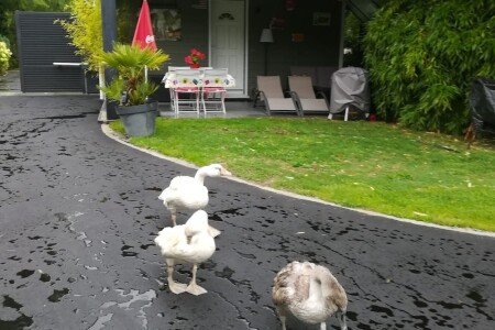 Gîte tout confort, 1 chambre, avec salle de sport