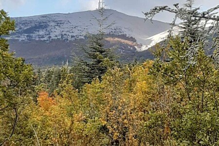 Chalet en bois 2 chambres, avec jardin