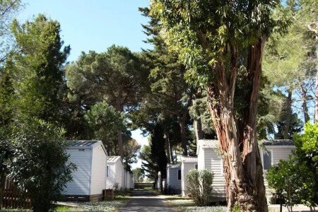 Mobil home chic, 2 chambres, avec climatisation