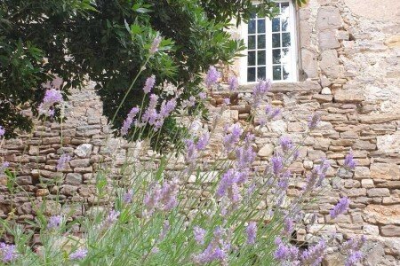 Château authentique, 6 chambres, avec jardin