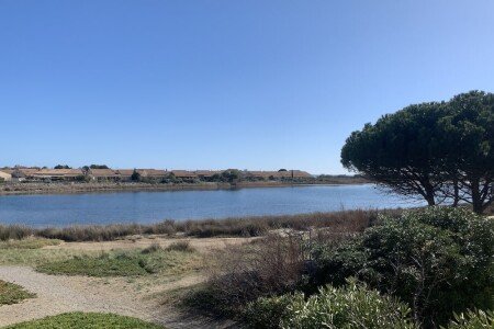 Appartement 2 chambres, avec jacuzzi