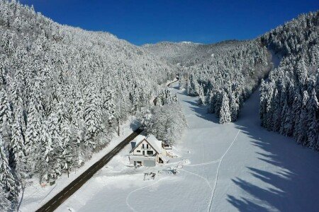 Studio 1 chambre, avec jardin