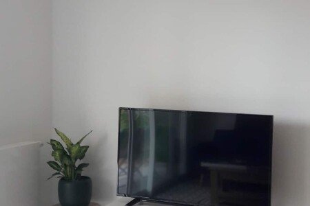 T2 1 chambre, avec jardin