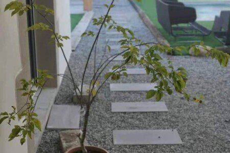 Bed and breakfast Agriturismo, 4 chambres, avec jacuzzi