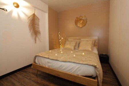 Appartement 1 chambre, avec jardin