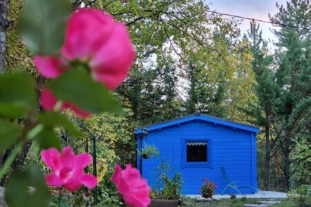 Maison 1 chambre, avec jacuzzi