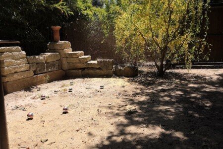 Bed and breakfast Agriturismo, 3 chambres, avec piscine