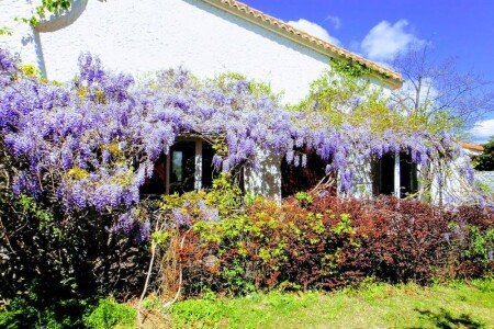 Gîte de charme, 3 chambres, avec jacuzzi