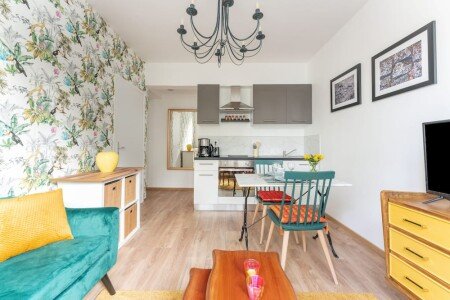 Apartment 1 bedroom, with wifi