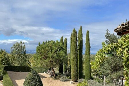 Appartement de charme, 1 chambre, avec jardin