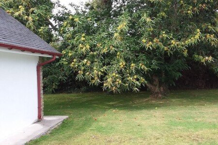 Chalet 3 habitaciones, con piscina