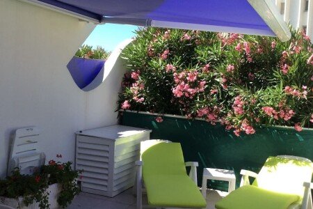 Appartement 1 chambre, avec jacuzzi