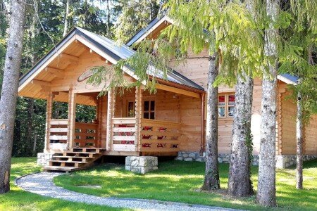 Chalet savoyard 2 chambres, avec wifi